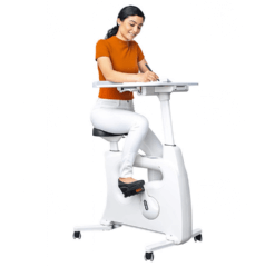 3-in-1 Exercise Bike